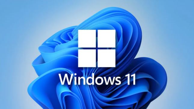 Windows 11 Microsoft