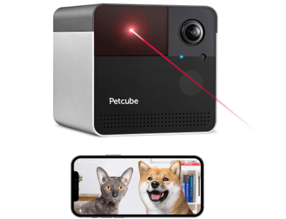 best pet cameras