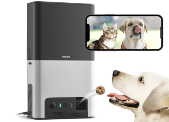 best pet cameras