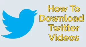 How to Download Twitter Videos