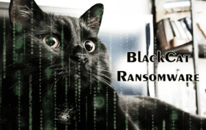 What is BlackCat Ransomware