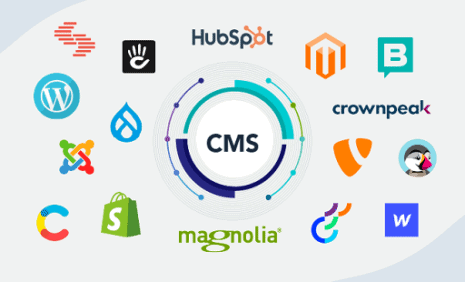 Best Content Management Systems